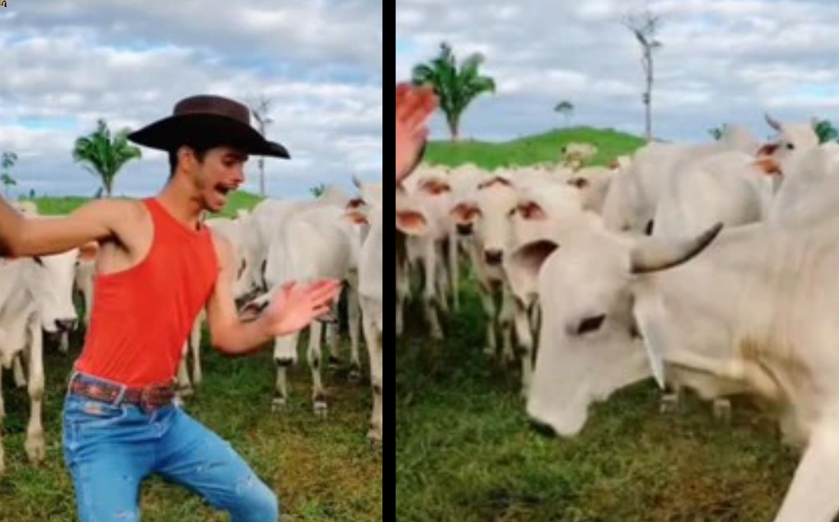 Joven se vuelve viral al hacer trend y enfrentar a una vaca que quería atacarlo |ESPECIAL