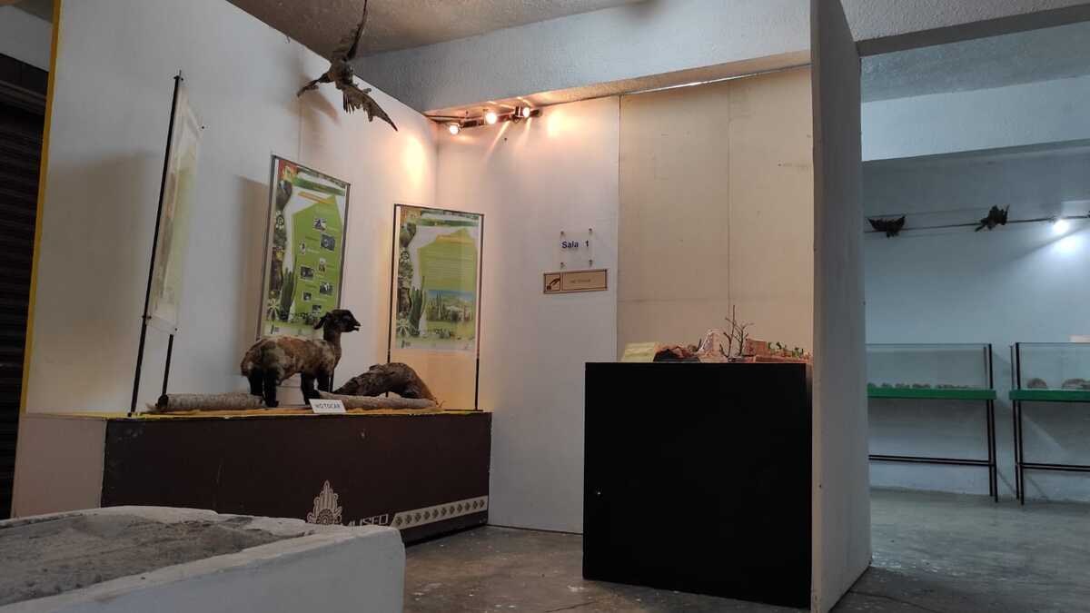 Abrirán el primer museo comunitario en la región de Ajalpan | Especial