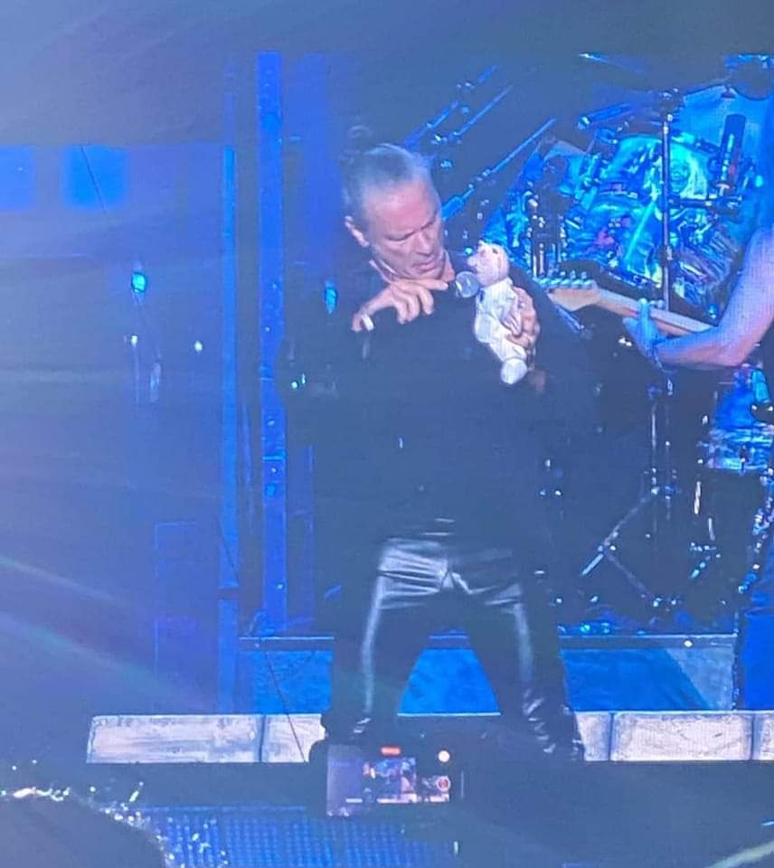 Dr. Simi vs Iron maiden