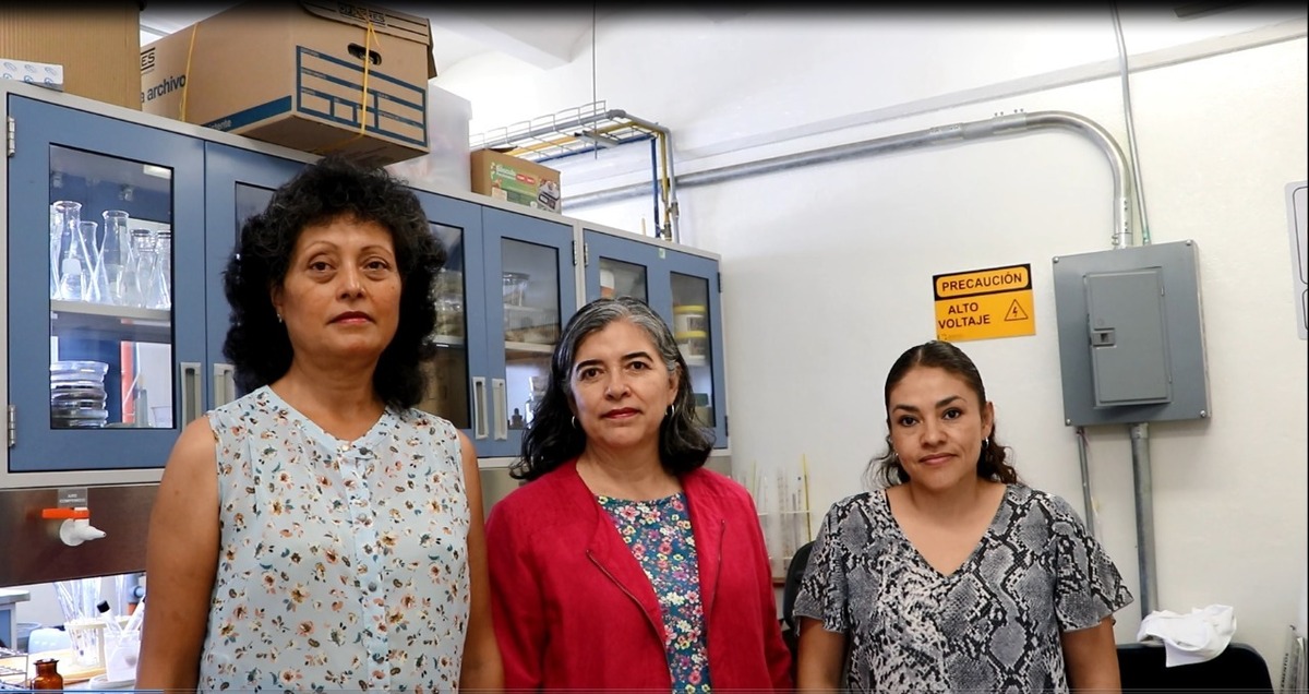 UG obtiene patente por el desarrollo de productos cosméticos antioxidantes