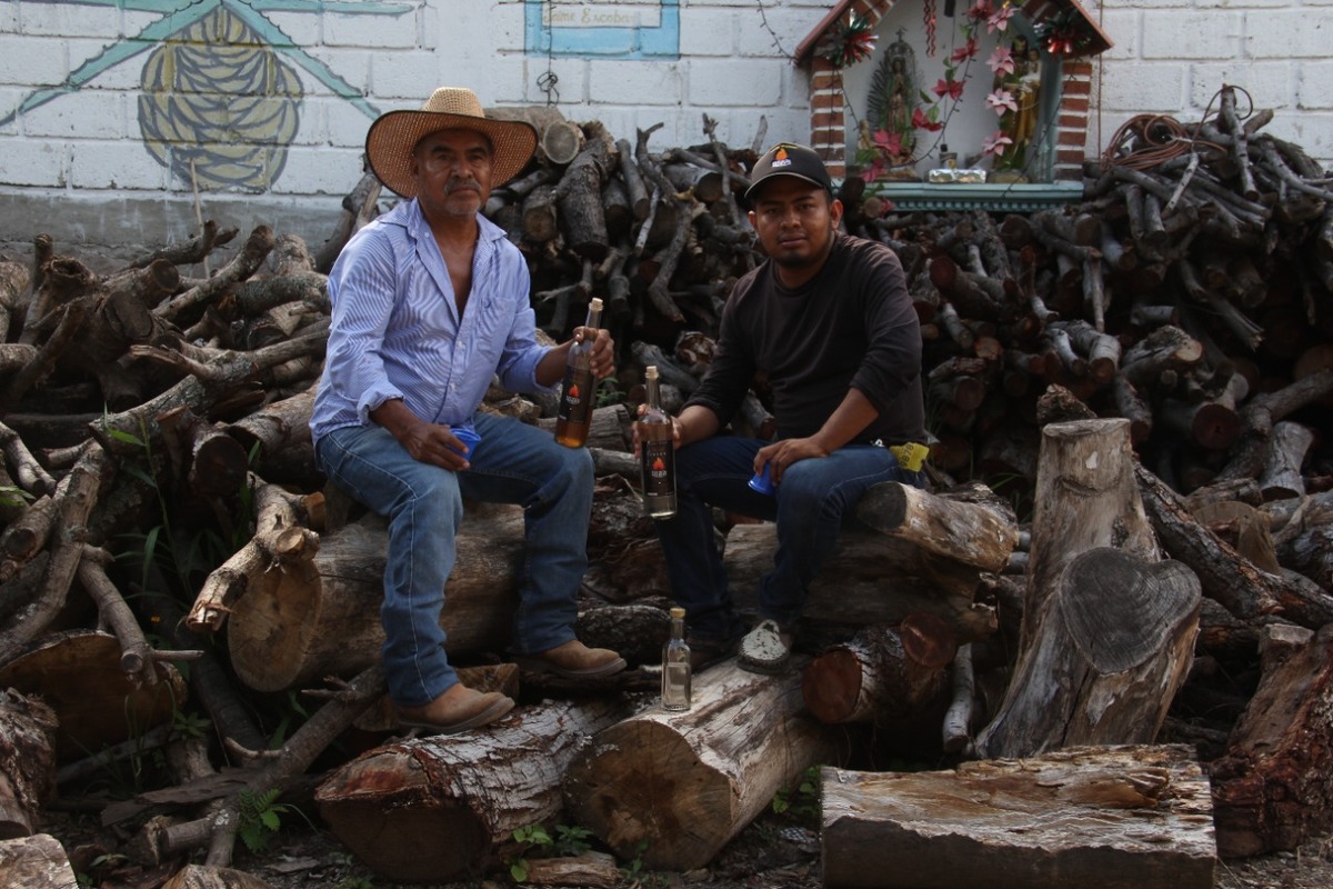 mezcal