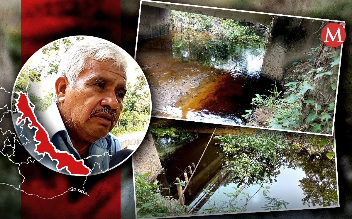 Pobladores denuncian ecocidio. (Especial)