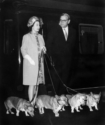 Perros de la reina Isabel II