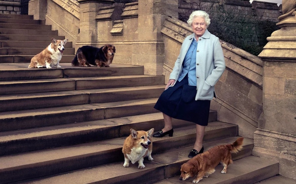 Príncipe Andrés, hijo de la reina Isabel II, adopta perros corgis (Instagram).