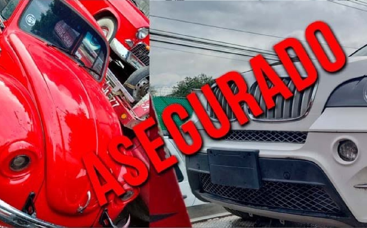 Recuperaron autos de colección valuados en cuatro millones de pesos que habían sido robados. | Especial
