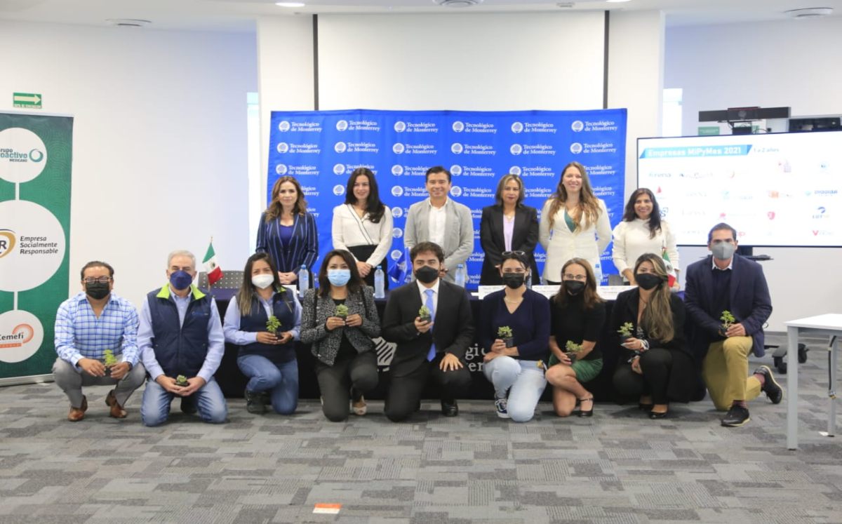 Proyecto de Grupo Proactivo Mexicano | Andrés Lobato