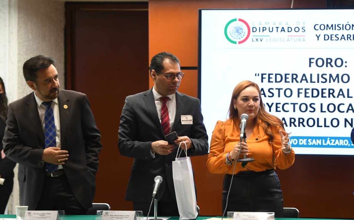 La diputada Annia Gómez Cárdenas, junto a expertos en federalismo fiscal. (Especial)