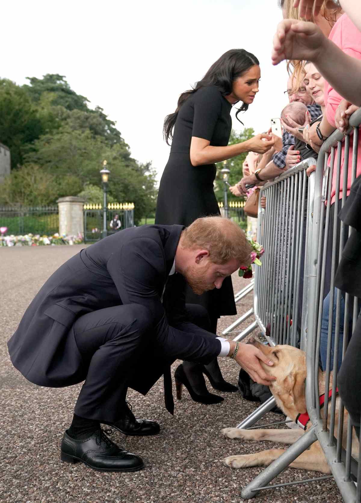https://cdn.milenio.com/uploads/media/2022/09/14/principe-harry-afp-1.jpg