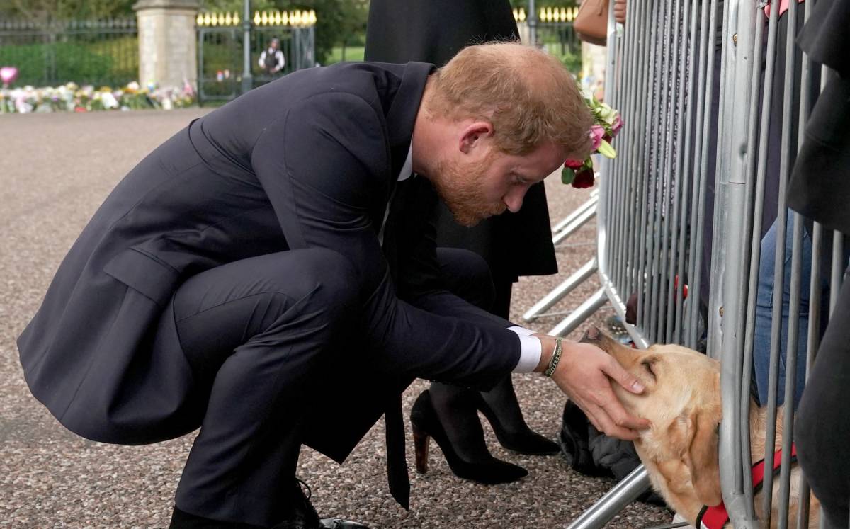 Príncipe Harry (AFP).