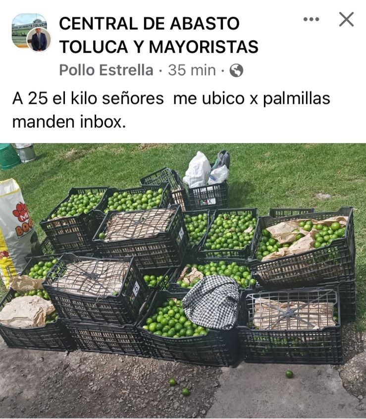 limón