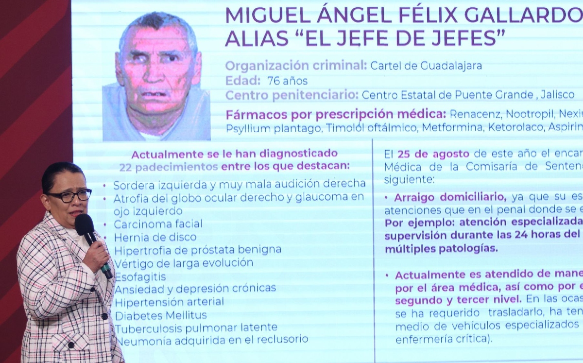 La secretaria de Seguridad presentó una lista de los padecimientos de Gallardo. | Cuartoscuro
