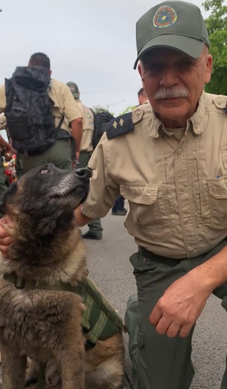 Bongo, perro rescatista se jubila, busca un hogar tras más de 10 años de servicio (Cortesía)