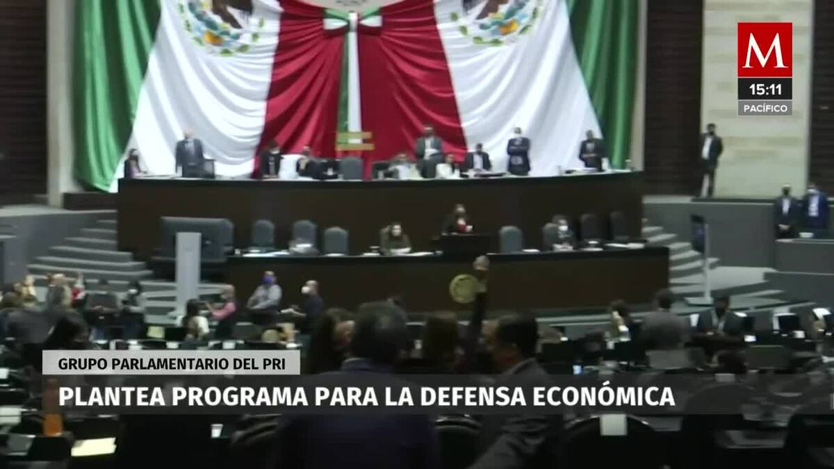 PRI plantea programa para la defensa económica