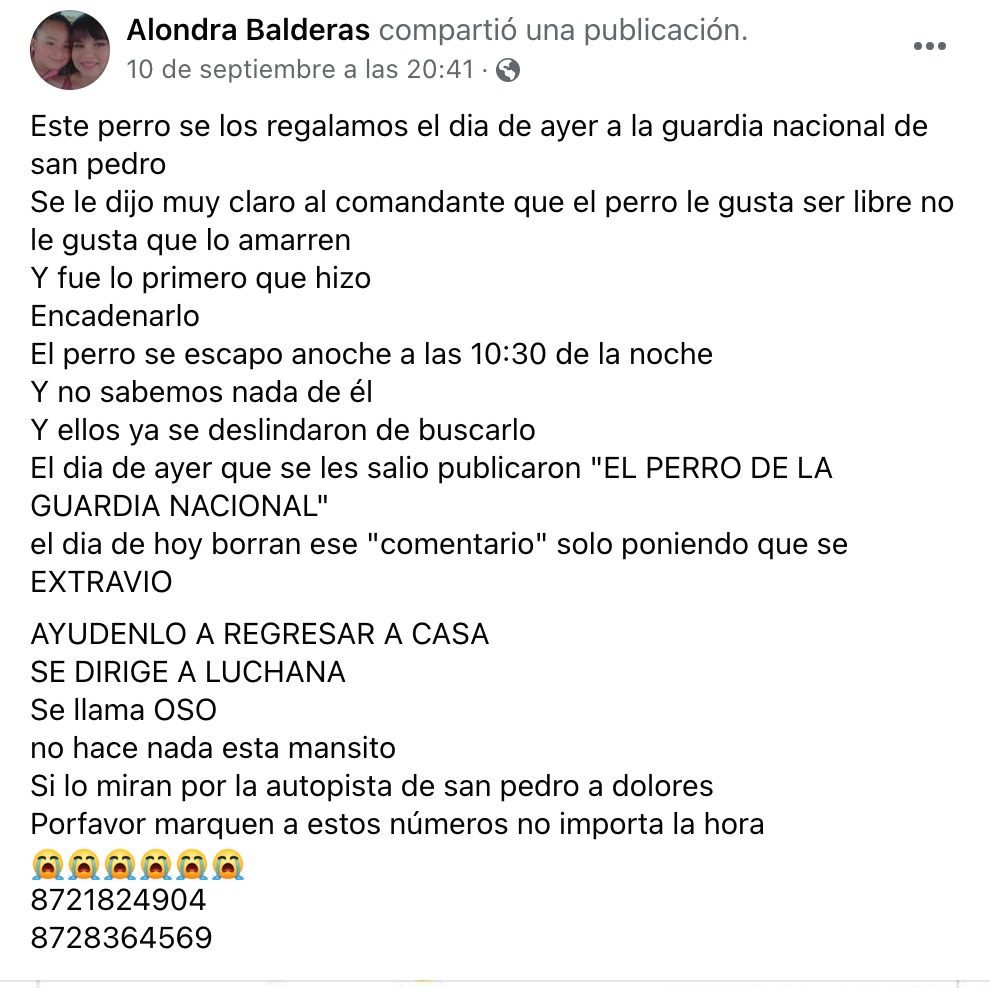 Alondra Balderas pide ayuda en redes sociales para encontrar a 'Oso' | Redes