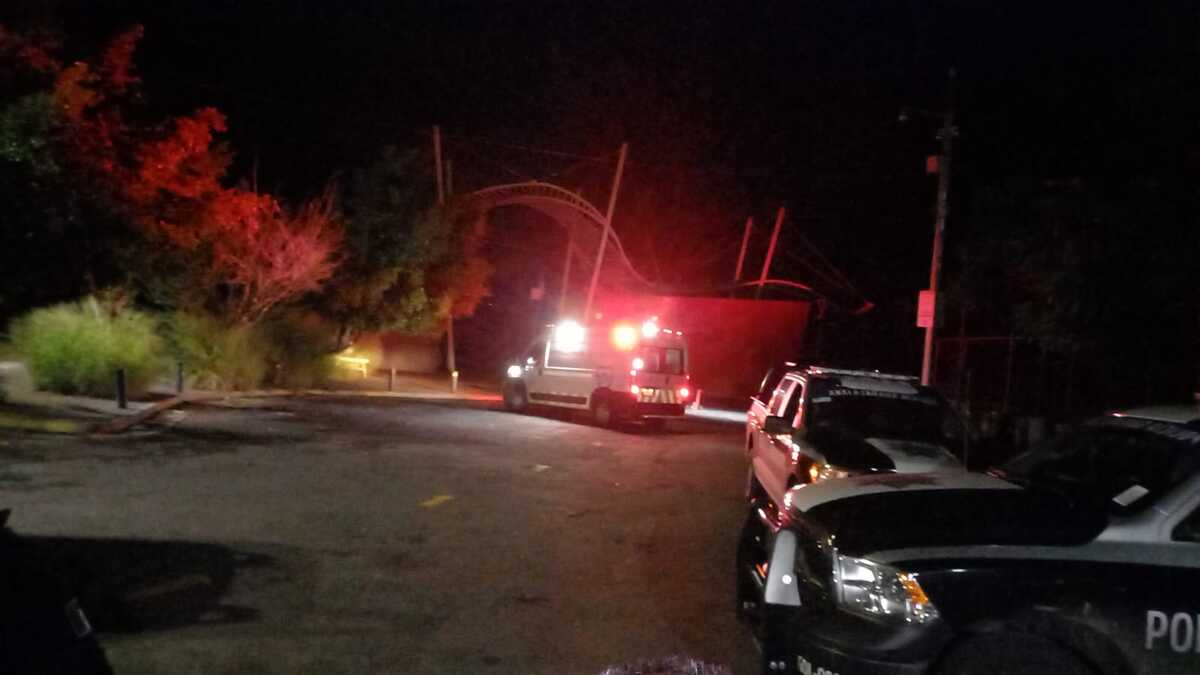 Elementos de Protección Civil y Bomberos realizaron el rescate. (Especial)