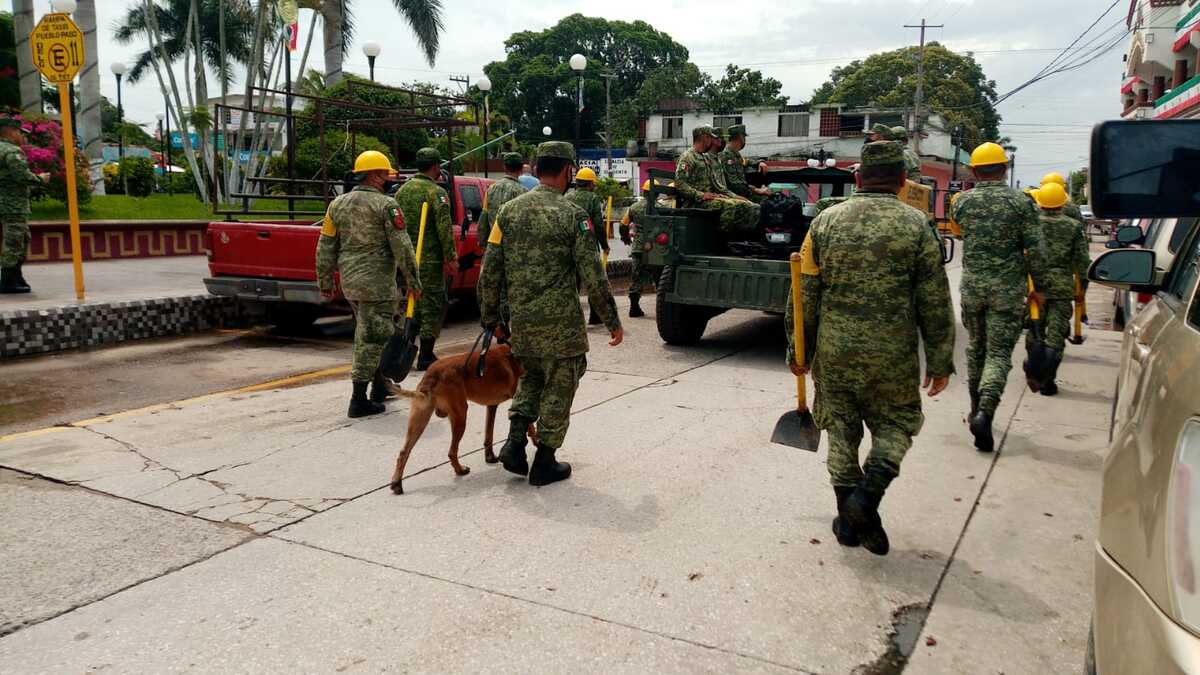 https://cdn.milenio.com/uploads/media/2022/09/19/marcha-ejercito-pueblo-viejo-aplicacion-1.jpg