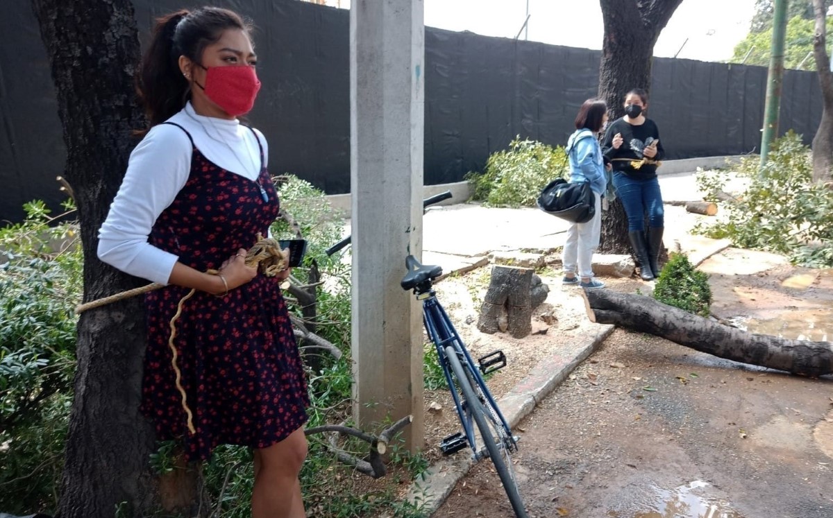 Los manifestantes se amarraron a los árboles para evitar que fueran talados. | César Velázquez y Carlos Tejeda
