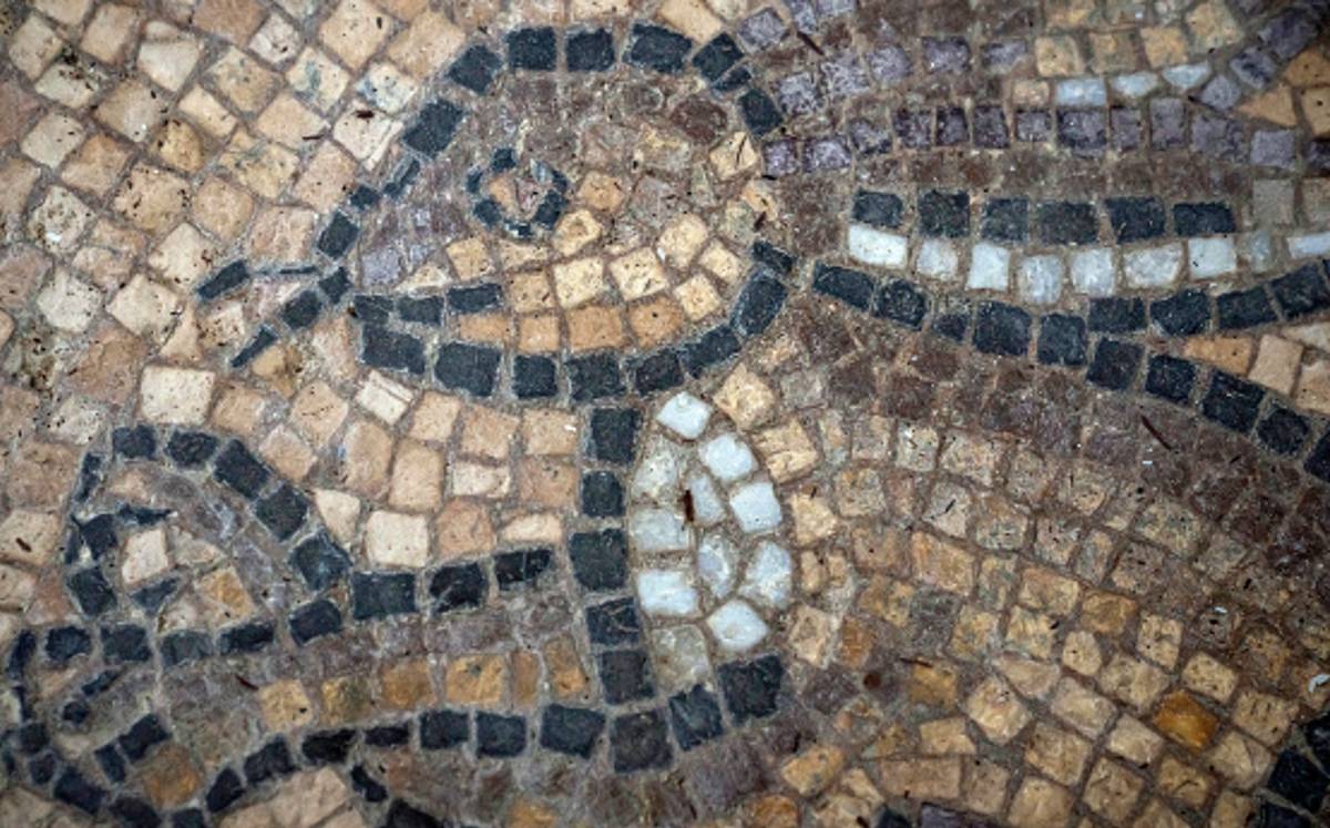 Este es el mosaico bizantino descubierto en Gaza