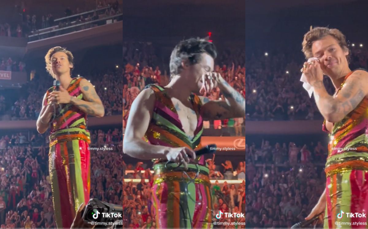 Harry Styles (Especial).