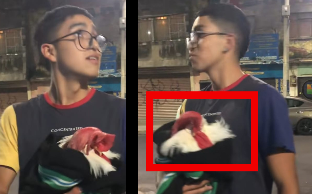 Joven sale de su casa con su gallo tras sismo en CdMx hoy | ESPECIAL