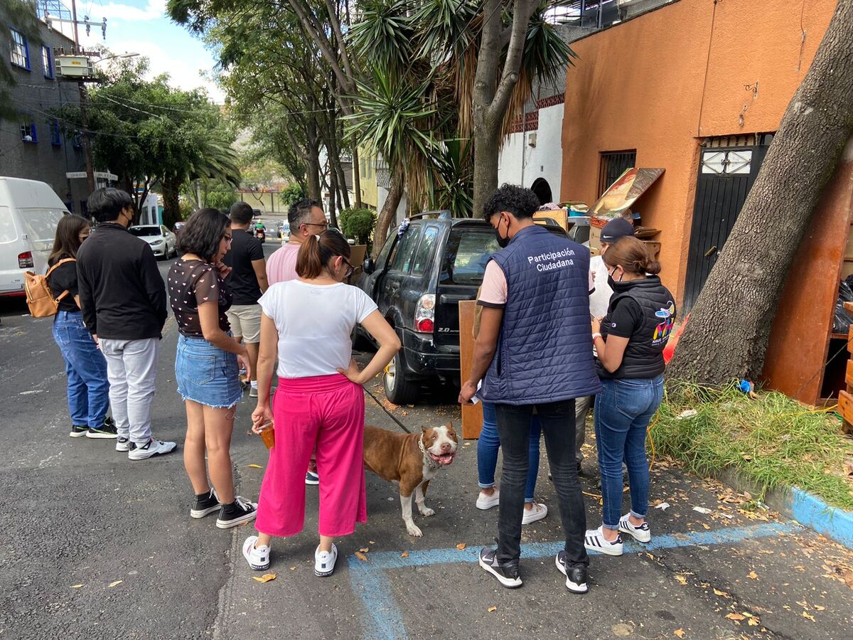 Los perritos fueron encontrados en condición de hacinamiento. (Especial)