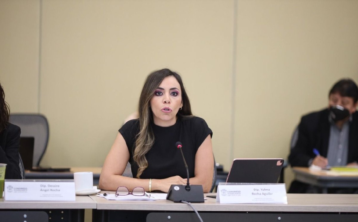 Yulma Rocha, diputada del PRI por Guanajuato / Especial