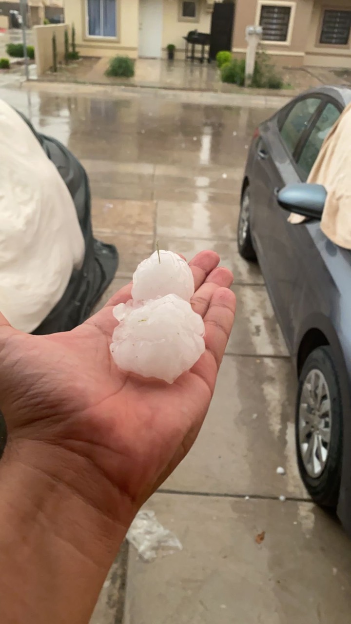 El granizó causó algunas afectaciones. (Gabriela Medina)
