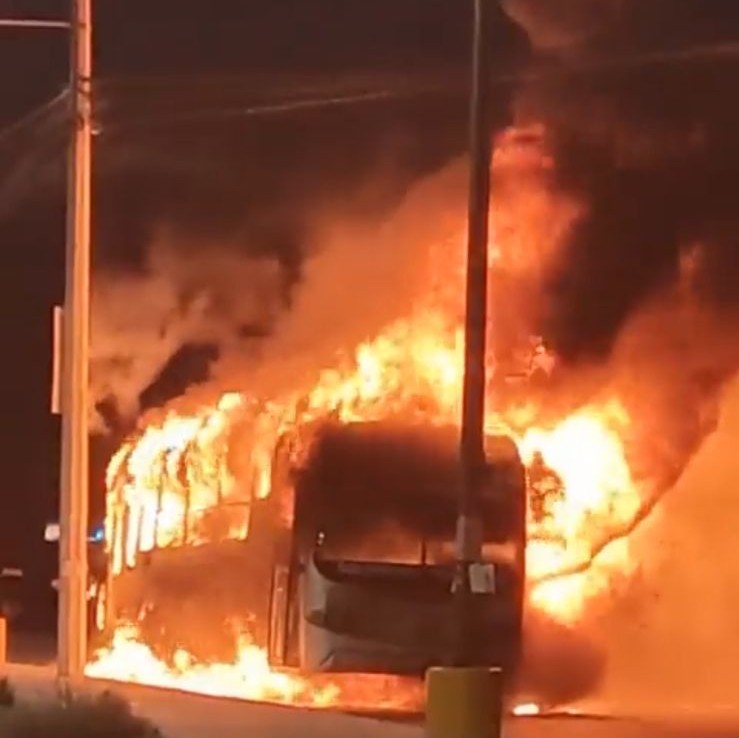 El incendio fue en un camión de la ruta 160. Foto: Especial