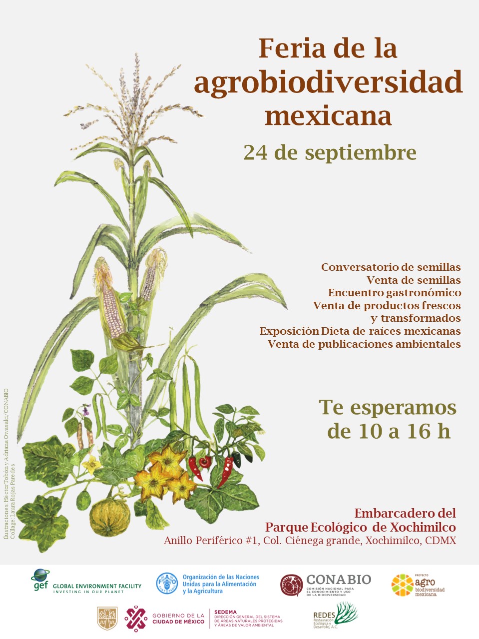 La Comisión Nacional para el Conocimiento y Uso de la Biodiversidad. (Especial)