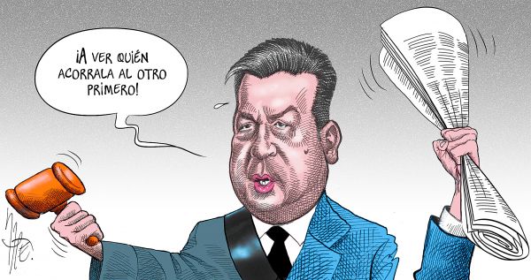 Perdiendo la cabeza de vaca
