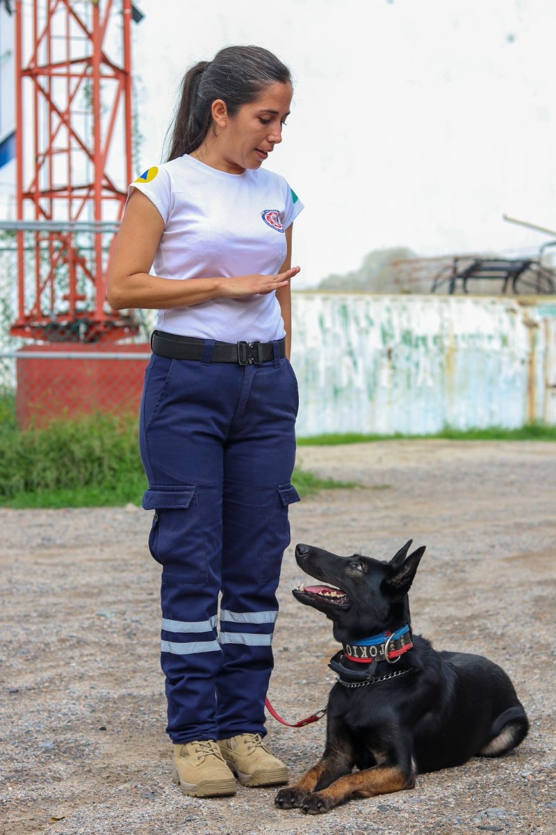 Tokio, perrita rescatista