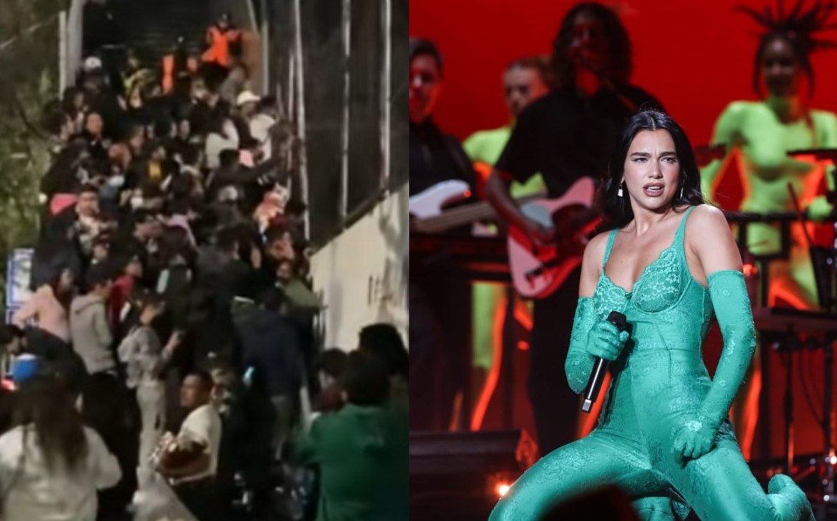 El video se hizo viral en TikTok (Foto: Captura/ Araceli López).