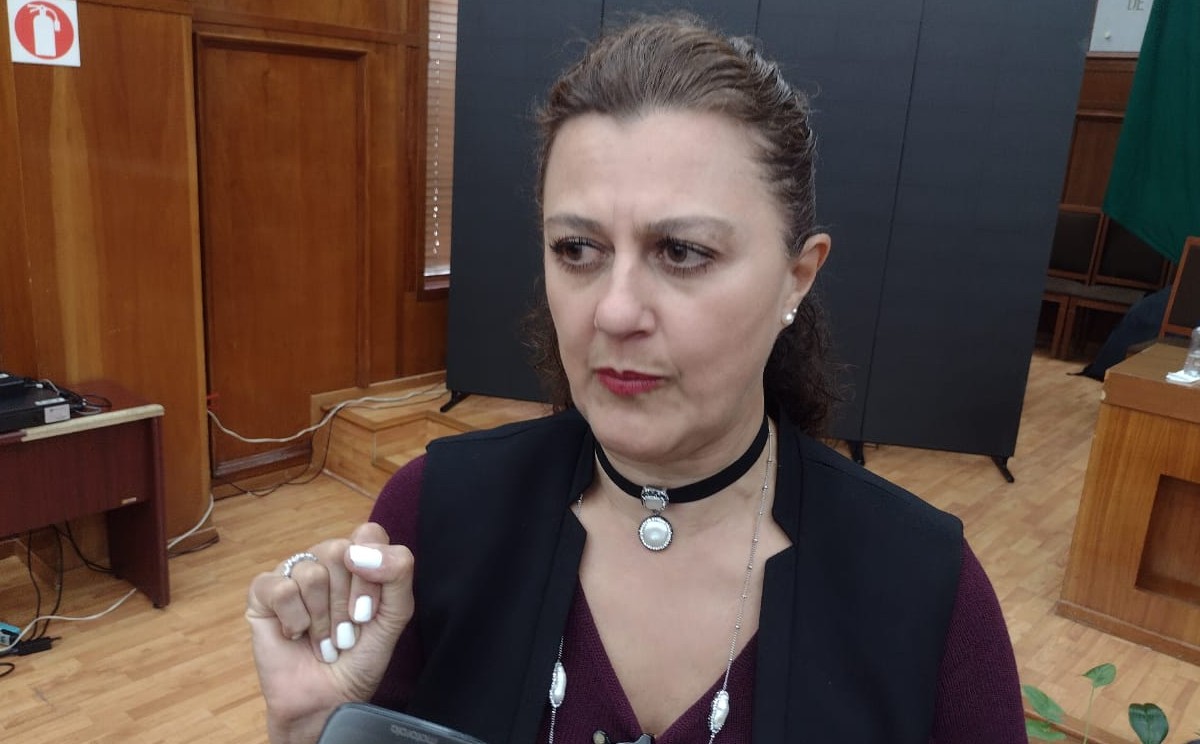 La presidenta de la comisión de Planeación y Gasto Público, Mónica Álvarez Nemer. (Claudia Hidalgo)