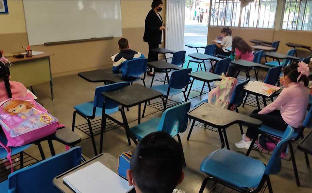 Por pandemia no se ha recuperado matricula en Tampico
