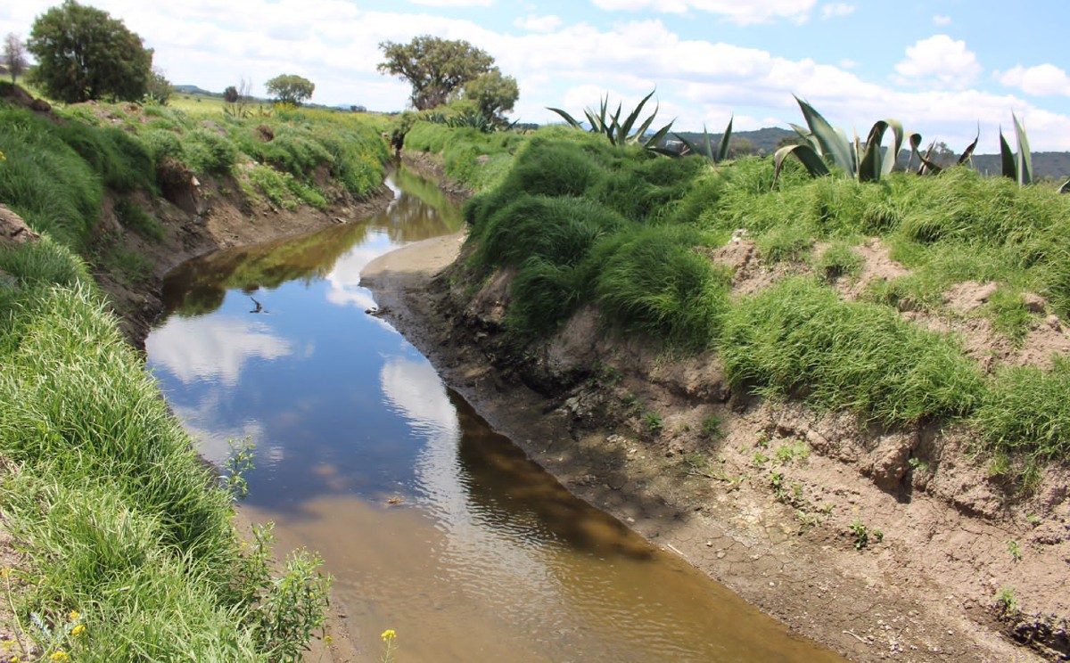 "Realizan trabajos de limpieza en Río Papalote en Axapusco" | Especial.