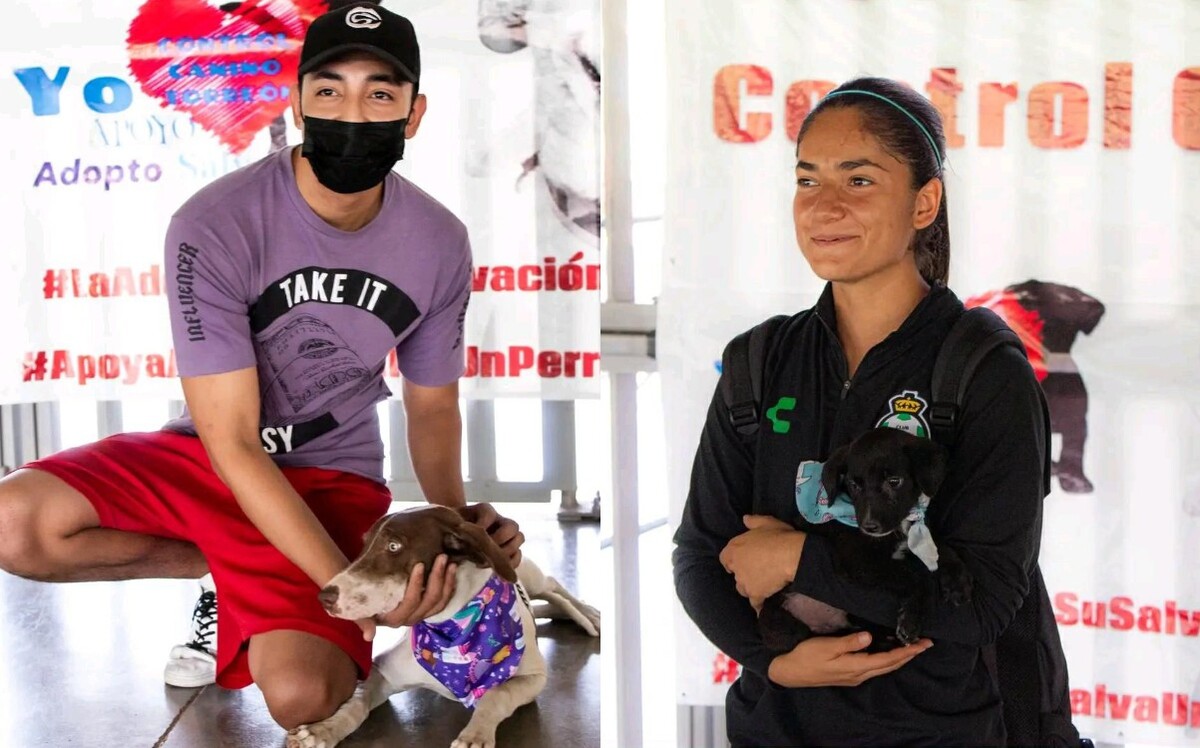 Salud Pública y Club Santos realizarán feria de adopción. (Especial)
