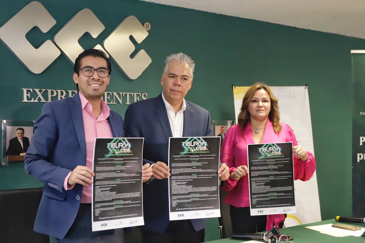 Tiburón Es CCE | Agencia Enfoque