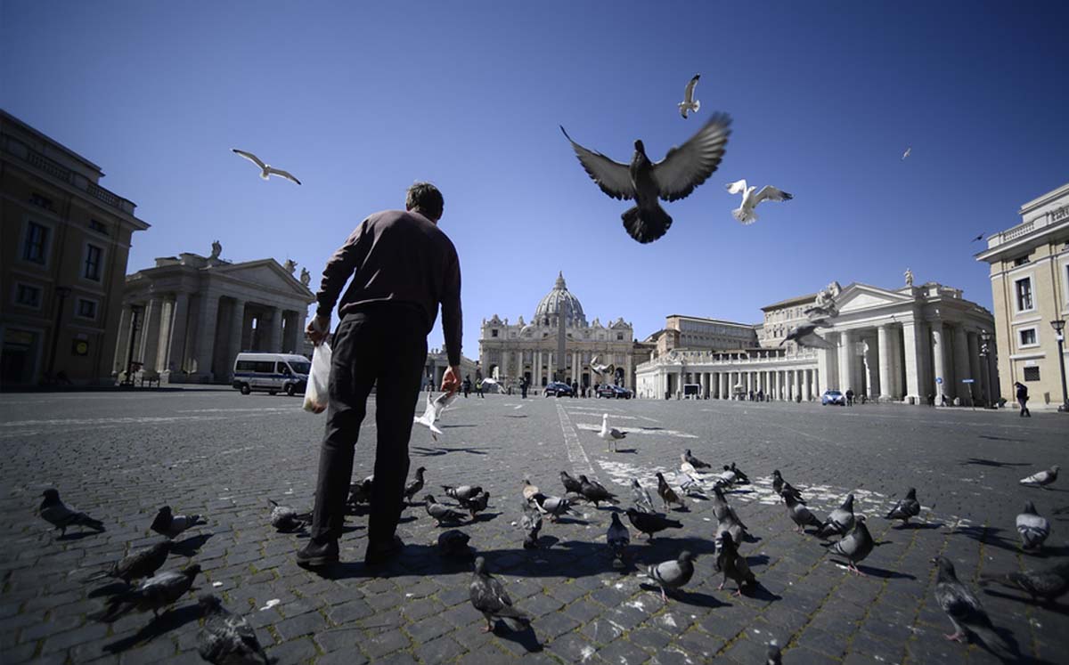 Las palomas se encuentran en diversos espacios públicos.