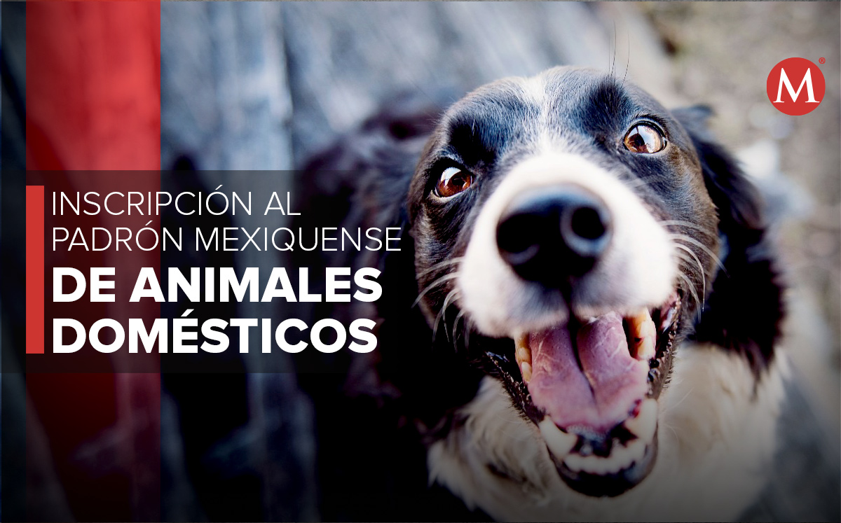 "El trámite tiene validez ante el gobierno mexiquense".