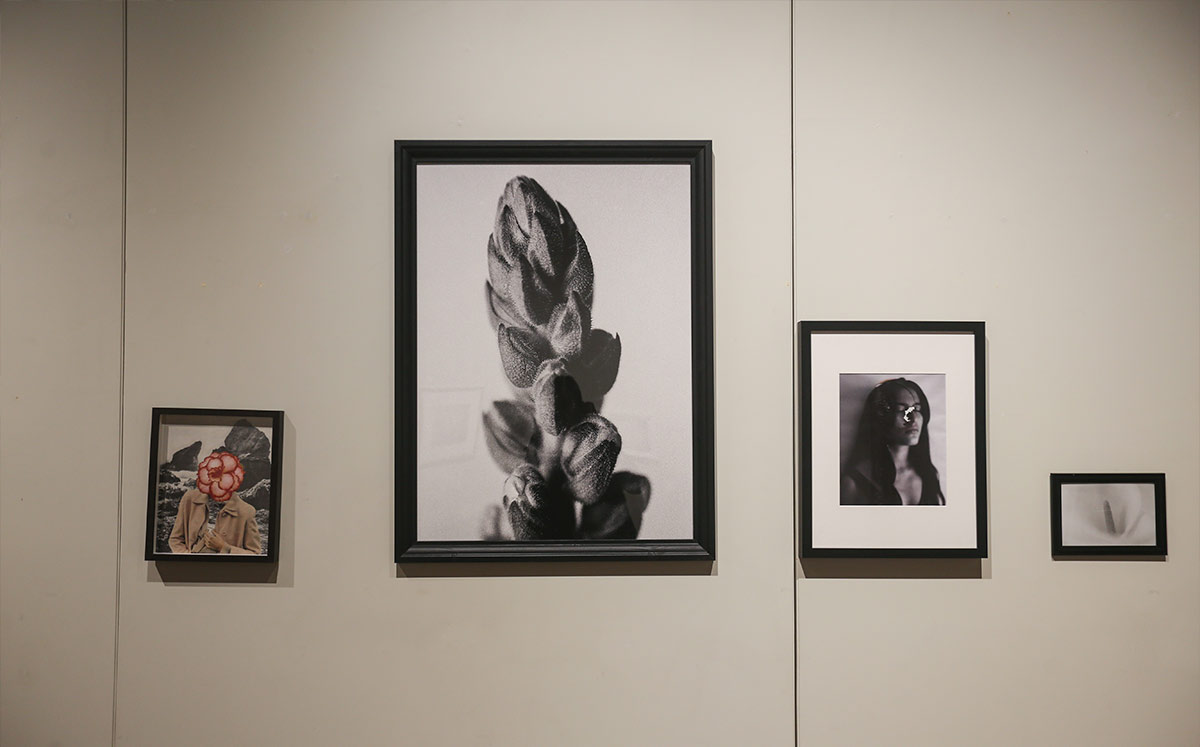 Exposición Fotográfica