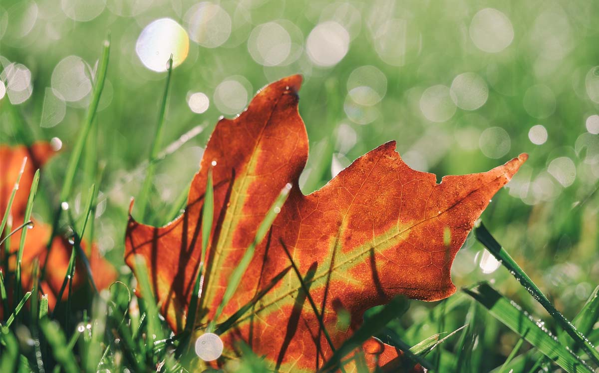 Fechas astrológicas de octubre 2022 (Unsplash)