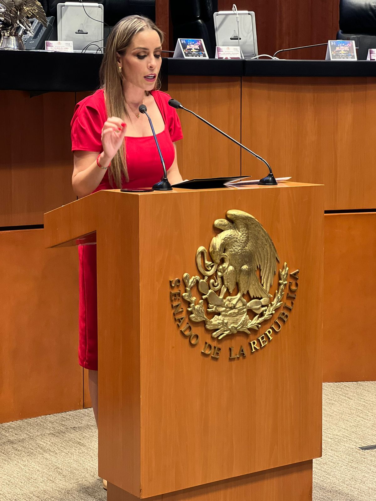 La legisladora coahuilense destacó que las mujeres le han hecho saber la  necesidad de que se reactiven los programas. | Especial