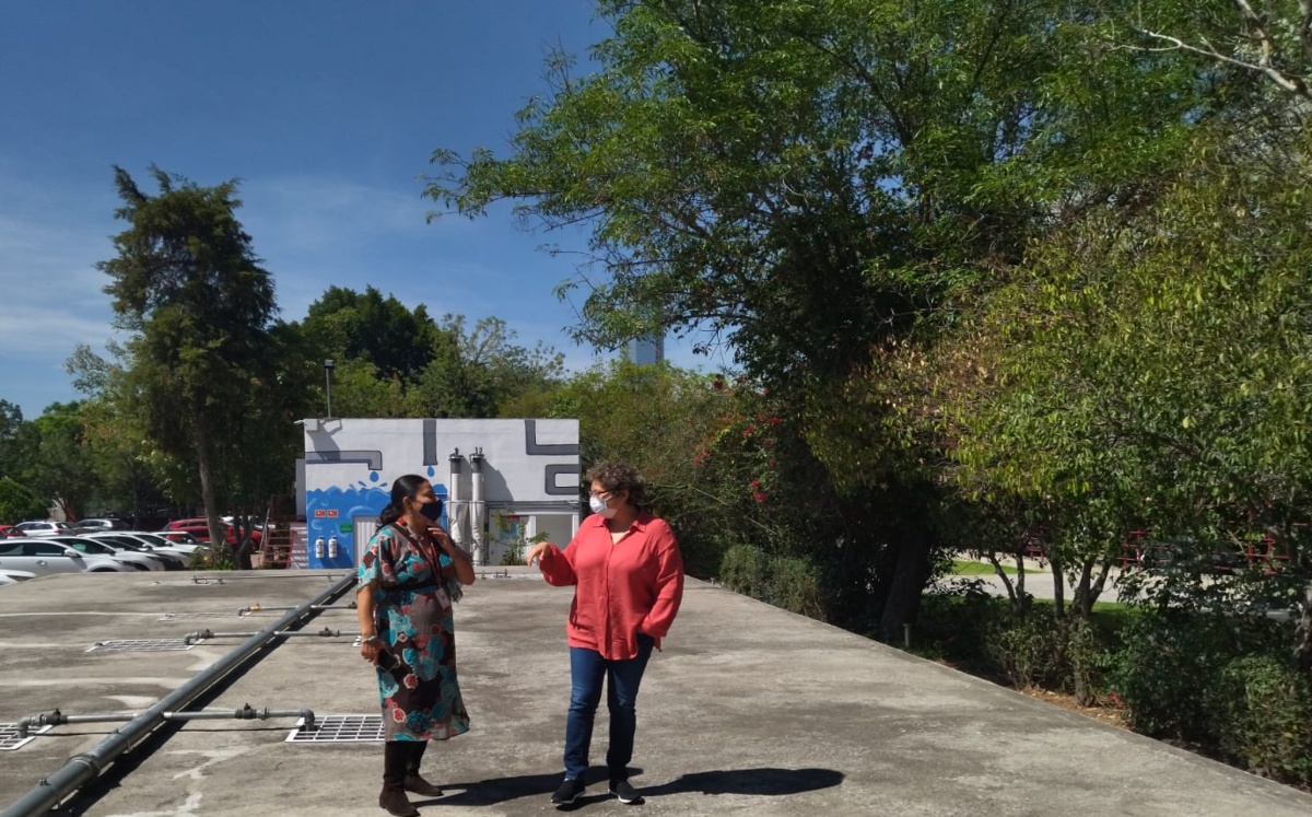 Universidades desarrollan Estrategia de Bioeconomía Circular y Social en Puebla | Jaime Zambrano