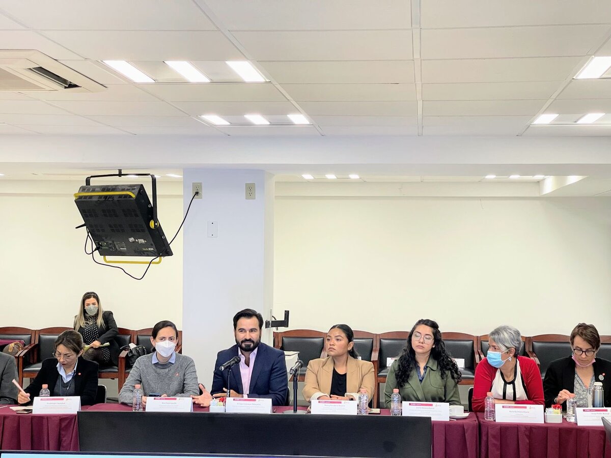 Argumentó que la CNB y la Segob excluyeron a víctimas, colectivos y organizaciones.