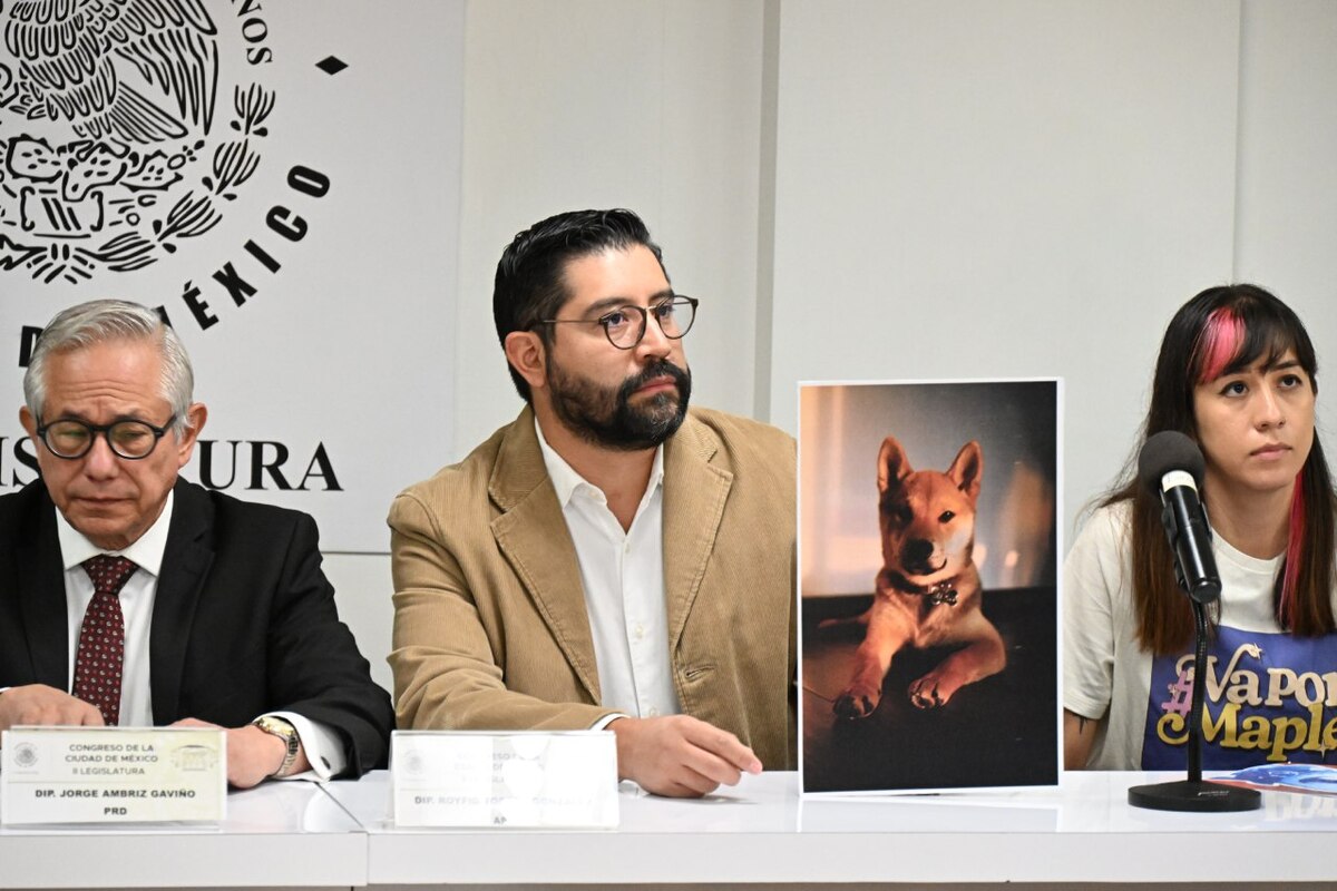 Royfid Torres presentó una iniciativa para regular la actividad de cuidado de mascotas.