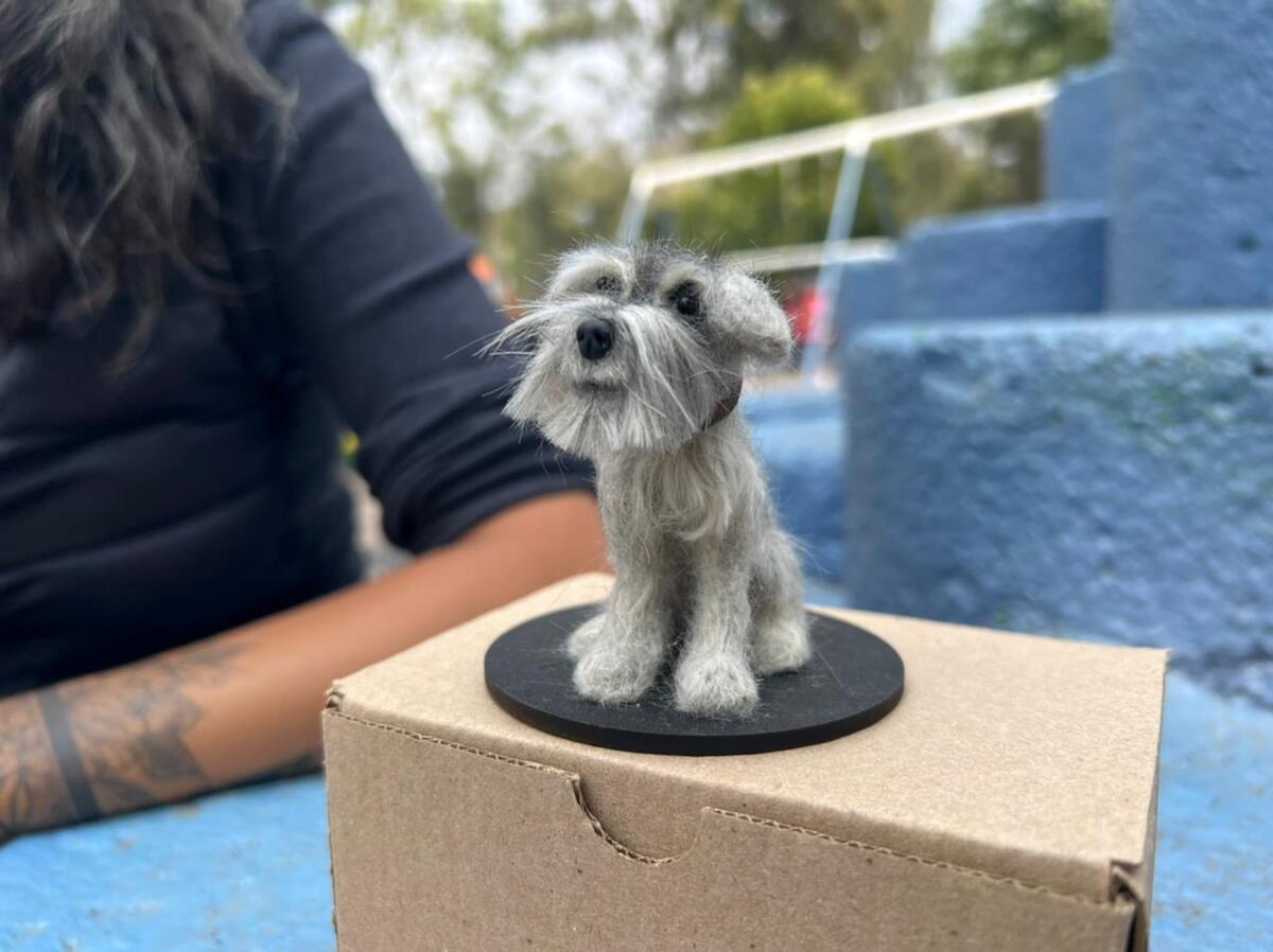 “Quise aprovechar la lana de mi perrito, y me puse manos a la obra”