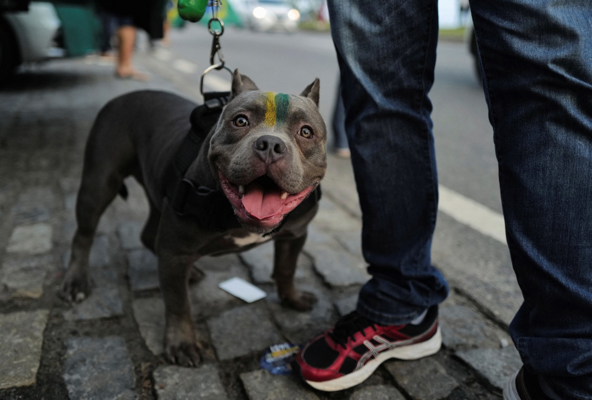 El ataque del perro fue contra dos niños y su madre. (Reuters)