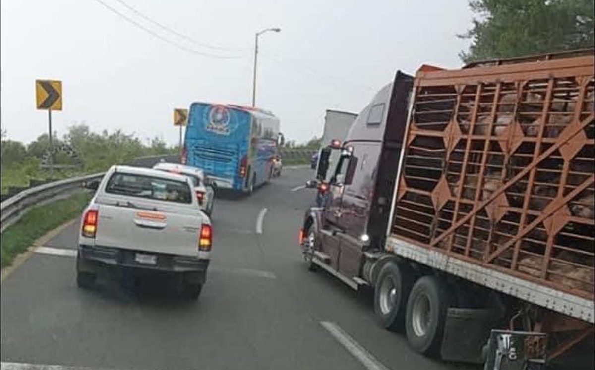 Se formó una fila kilométrica de autos tras el accidente en la carretera Veracruz-Puebla. | Especial