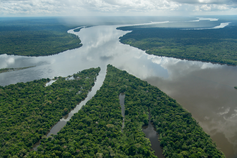 Amazonía ecuatoriana. (WWF)