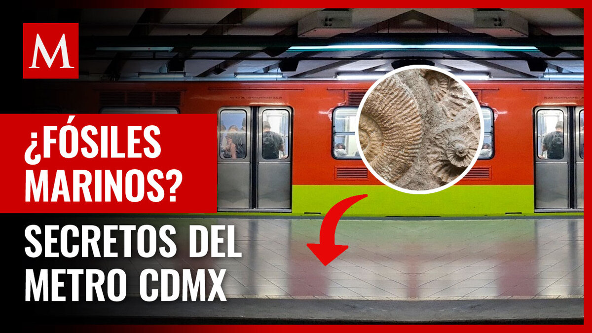 Metro de CdMx. Éste es el secreto que guardan algunas estaciones